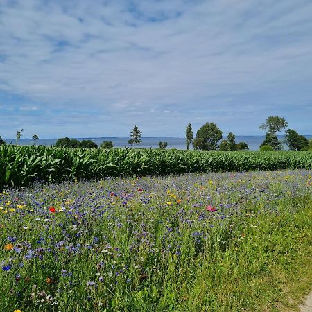 Kiekutsland Leilighet Westerholz Eksteriør bilde